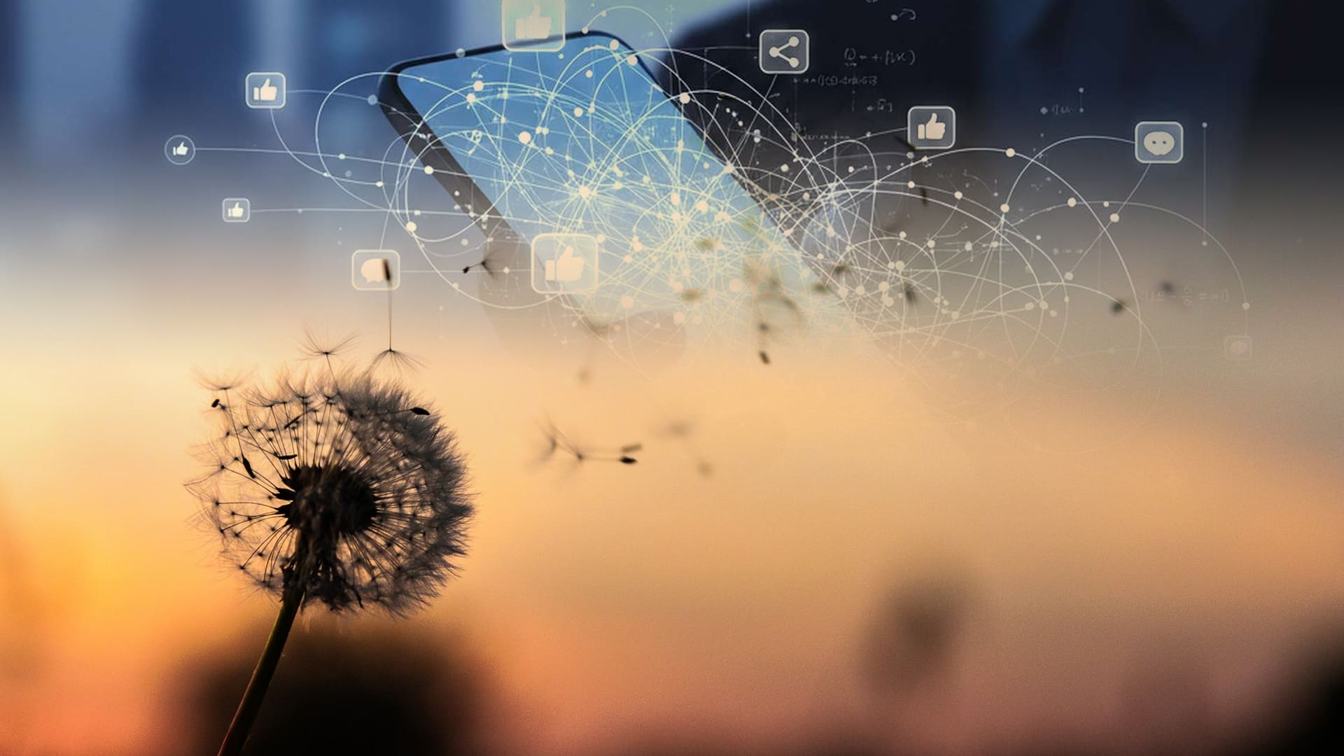 Structurer et sécuriser son activité de coach - cadre juridique et communication digitale — AP-Consulting