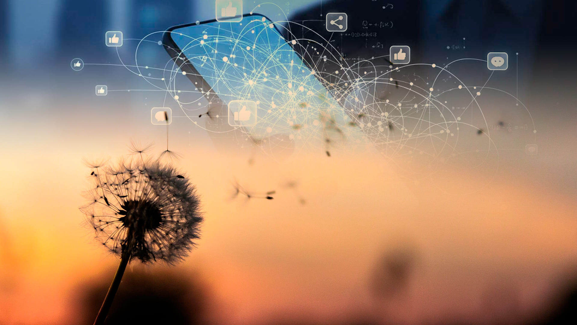 Structurer et sécuriser son activité de Coach : cadre Communication digitale — AP-Consulting
